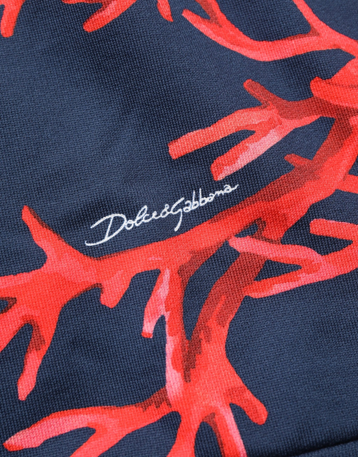 Dolce & Gabbana cotton coral-print hoodie – blue