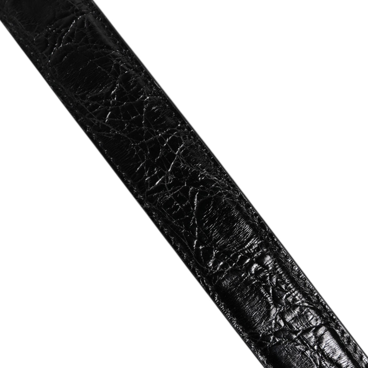 Dolce & Gabbana WMB436 black alligator leather bag strap