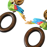 Dolce & Gabbana Multicolor Parrot Alua Wood Brass Crystal Embellished Earrings