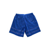 Iceberg Blue Polyester Men Swim Short