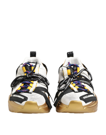 Dolce & Gabbana Multicolor Daymaster Low Top Sneakers Shoes