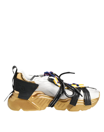 Dolce & Gabbana Multicolor Daymaster Low Top Sneakers Shoes