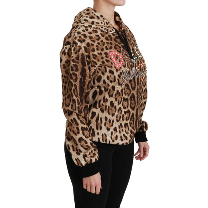 Dolce & Gabbana Brown Hooded Studded Ayers Leopard Sweater