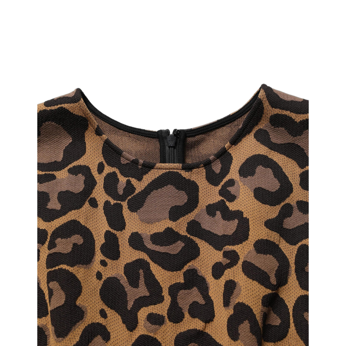 Dolce & Gabbana Brown Leopard Jacquard Knee Length Dress
