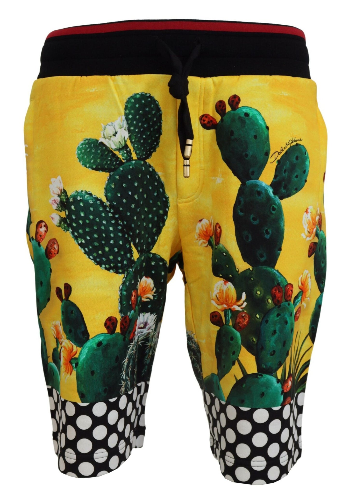 Dolce & Gabbana Multifarver Cactus Print Bomuld Sweat Shorts