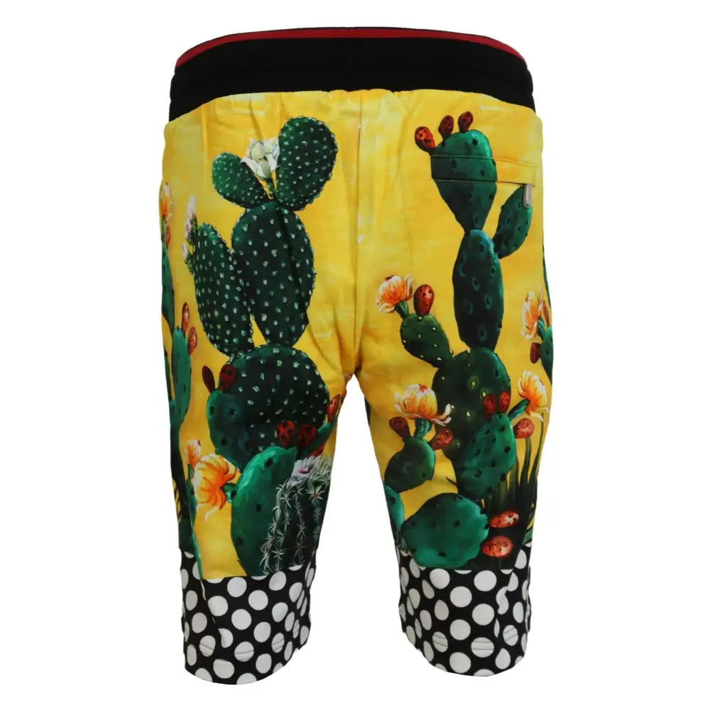Dolce & Gabbana Multifarver Cactus Print Bomuld Sweat Shorts
